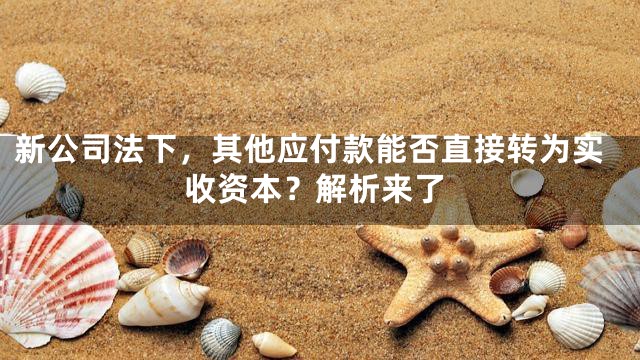 新公司法下，其他应付款能否直接转为实收资本？解析来了