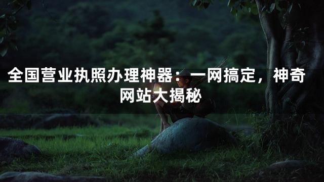 全国营业执照办理神器：一网搞定，神奇网站大揭秘