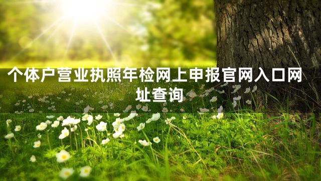 个体户营业执照年检网上申报官网入口网址查询