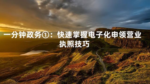 一分钟政务①：快速掌握电子化申领营业执照技巧