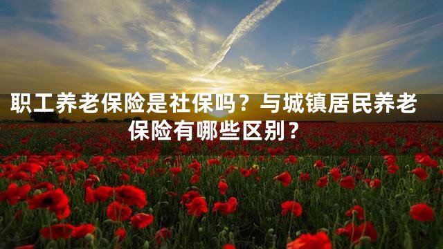 职工养老保险是社保吗？与城镇居民养老保险有哪些区别？