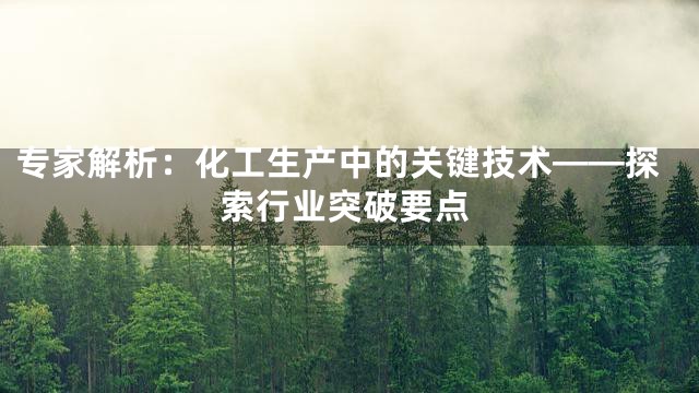 专家解析：化工生产中的关键技术——探索行业突破要点