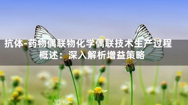 抗体-药物偶联物化学偶联技术生产过程概述：深入解析增益策略