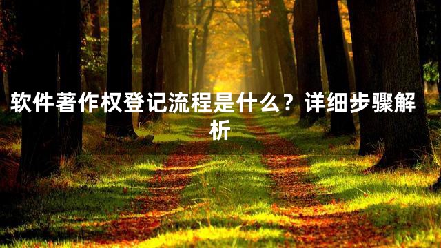 软件著作权登记流程是什么？详细步骤解析