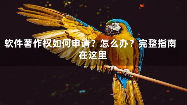 软件著作权如何申请？怎么办？完整指南在这里