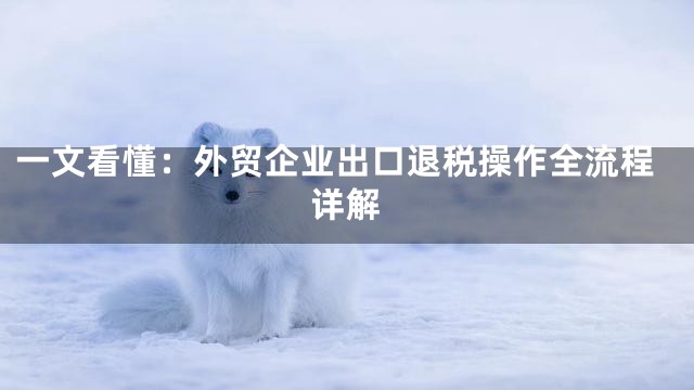 一文看懂：外贸企业出口退税操作全流程详解