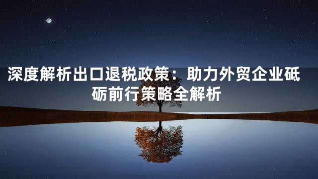 深度解析出口退税政策：助力外贸企业砥砺前行策略全解析