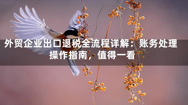 外贸企业出口退税全流程详解：账务处理操作指南，值得一看
