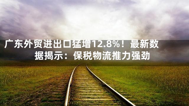 广东外贸进出口猛增12.8%！最新数据揭示：保税物流推力强劲