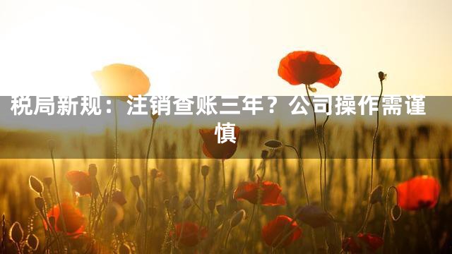 税局新规：注销查账三年？公司操作需谨慎