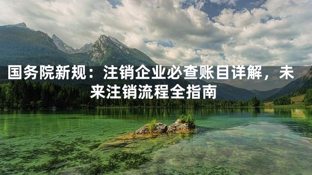国务院新规：注销企业必查账目详解，未来注销流程全指南