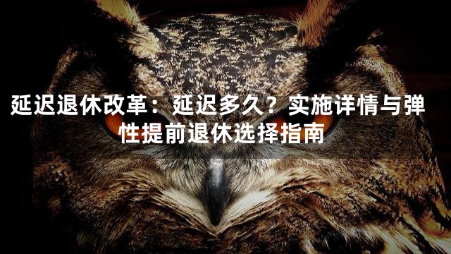 延迟退休改革：延迟多久？实施详情与弹性提前退休选择指南
