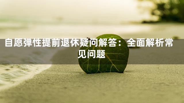 自愿弹性提前退休疑问解答：全面解析常见问题