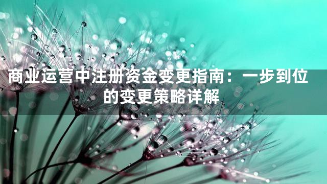 商业运营中注册资金变更指南：一步到位的变更策略详解