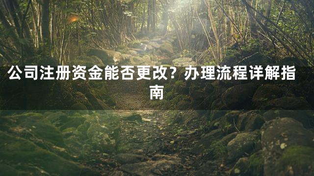公司注册资金能否更改？办理流程详解指南