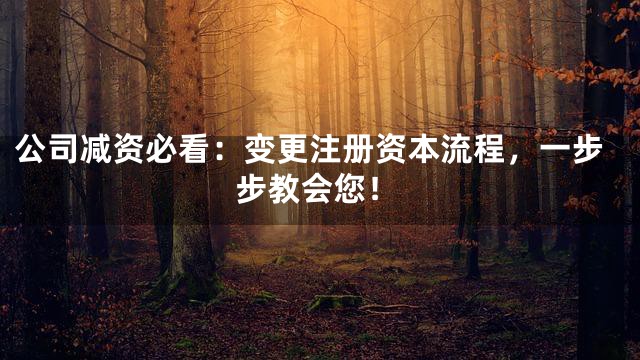 公司减资必看：变更注册资本流程，一步步教会您！