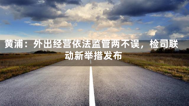 黄浦：外出经营依法监管两不误，检司联动新举措发布