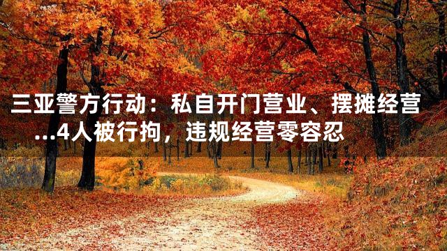 三亚警方行动：私自开门营业、摆摊经营...4人被行拘，违规经营零容忍