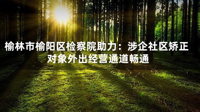 榆林市榆阳区检察院助力：涉企社区矫正对象外出经营通道畅通