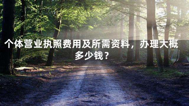 个体营业执照费用及所需资料，办理大概多少钱？