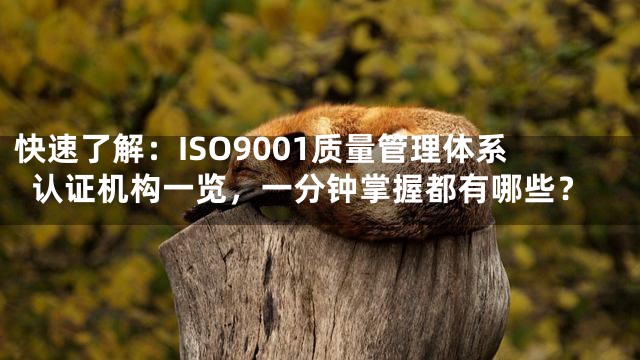 快速了解：ISO9001质量管理体系认证机构一览，一分钟掌握都有哪些？