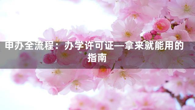 申办全流程：办学许可证—拿来就能用的指南