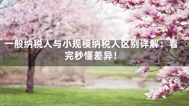 一般纳税人与小规模纳税人区别详解：看完秒懂差异！