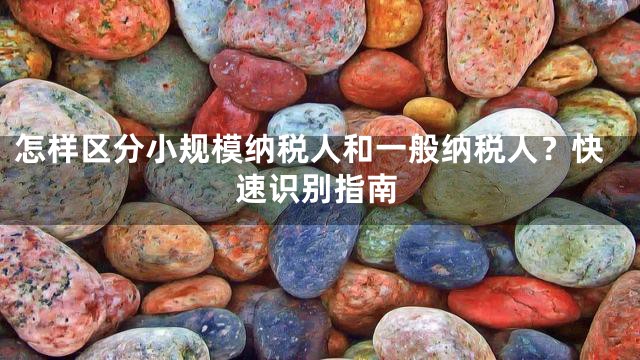 怎样区分小规模纳税人和一般纳税人？快速识别指南