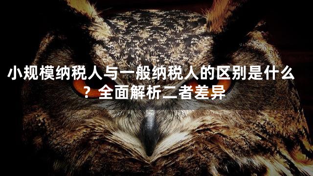 小规模纳税人与一般纳税人的区别是什么？全面解析二者差异