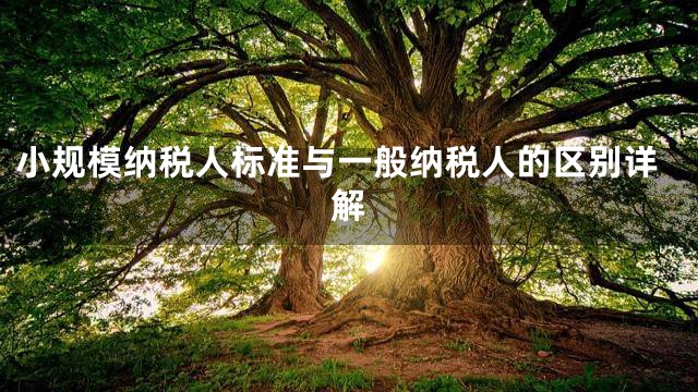 小规模纳税人标准与一般纳税人的区别详解