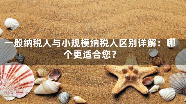 一般纳税人与小规模纳税人区别详解：哪个更适合您？
