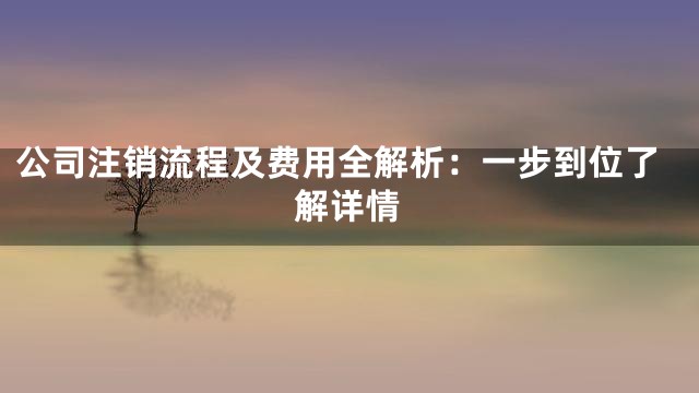 公司注销流程及费用全解析：一步到位了解详情