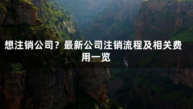 想注销公司？最新公司注销流程及相关费用一览