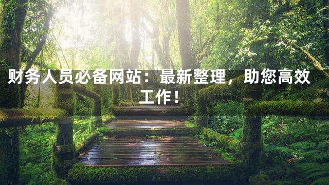 财务人员必备网站：最新整理，助您高效工作！