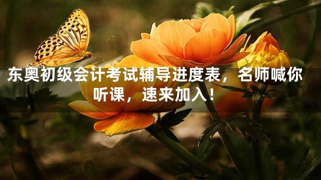 东奥初级会计考试辅导进度表，名师喊你听课，速来加入！
