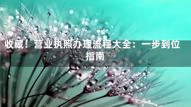 收藏！营业执照办理流程大全：一步到位指南