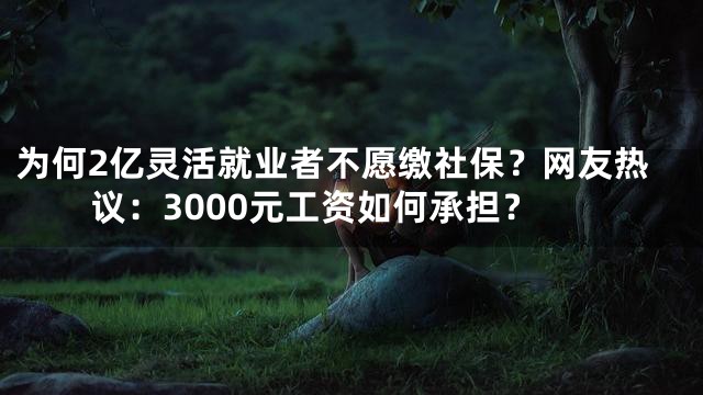 为何2亿灵活就业者不愿缴社保？网友热议：3000元工资如何承担？