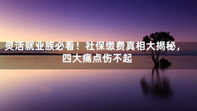 灵活就业族必看！社保缴费真相大揭秘，四大痛点伤不起