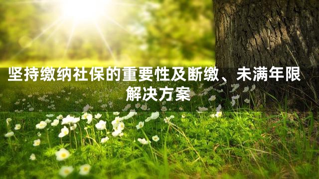 坚持缴纳社保的重要性及断缴、未满年限解决方案