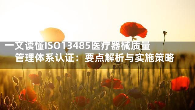 一文读懂ISO13485医疗器械质量管理体系认证：要点解析与实施策略