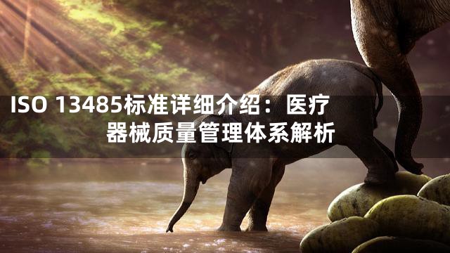 ISO 13485标准详细介绍：医疗器械质量管理体系解析