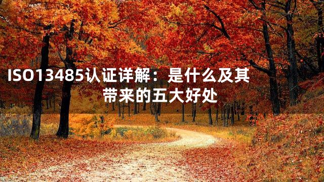 ISO13485认证详解：是什么及其带来的五大好处