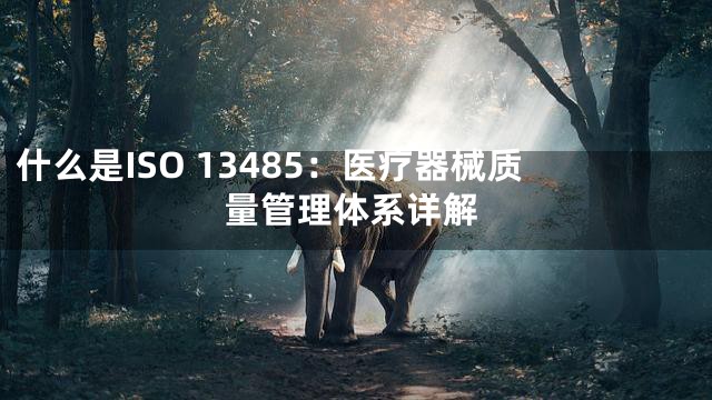 什么是ISO 13485：医疗器械质量管理体系详解