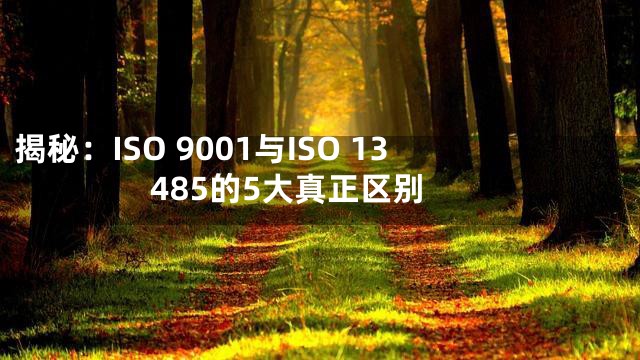 揭秘：ISO 9001与ISO 13485的5大真正区别