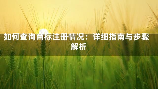 如何查询商标注册情况：详细指南与步骤解析