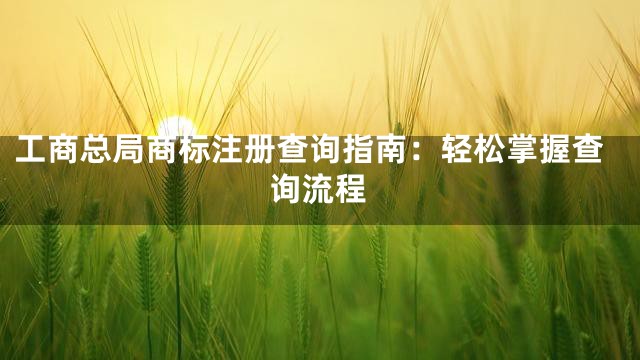工商总局商标注册查询指南：轻松掌握查询流程