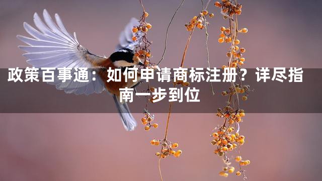 政策百事通：如何申请商标注册？详尽指南一步到位