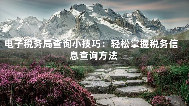 电子税务局查询小技巧：轻松掌握税务信息查询方法