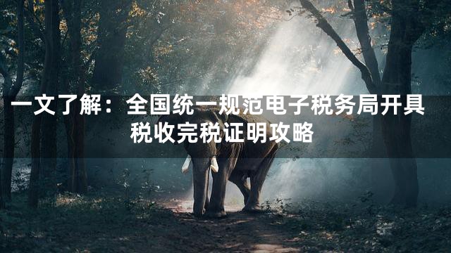 一文了解：全国统一规范电子税务局开具税收完税证明攻略