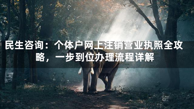 民生咨询：个体户网上注销营业执照全攻略，一步到位办理流程详解